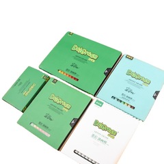 Danke Lin 2nd Generation: 12 Vibrant Colors, Soft Premium Gray Monochromatic, Children's Drawing & Doodling Crayons – Pastel and Oil-Based Wax Crayons