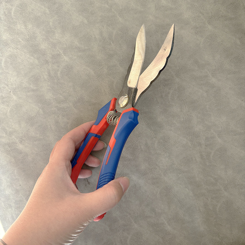 微信图片_20251214133217_221_408.jp