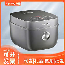 /九.阳电饭煲0涂层多功能蒸煮不锈钢家用电饭锅F-40F316L