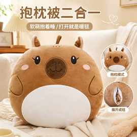 U型枕;靠垫/抱枕;午睡枕