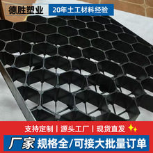 平口植草格黑色塑料HDPE公园绿化边坡护坡停车场专用植草格