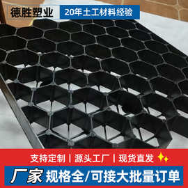 平口植草格黑色塑料HDPE公园绿化边坡护坡停车场专用植草格