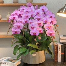 Դ�^���غ����m���玧�������������������ܿ͏d�҃�ֲ�ﮔ���_��