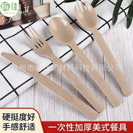 一次性刀叉勺;一次性餐具;便携餐具