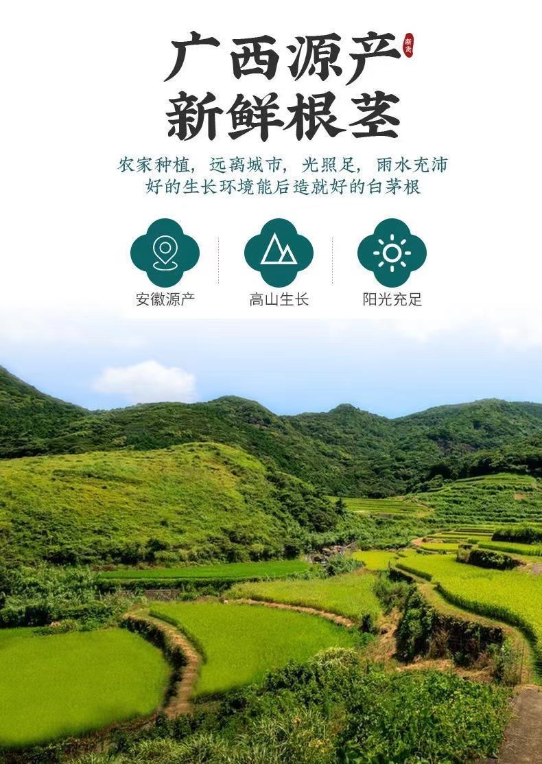 Wild Cogon Grass Root Bai Mao Gen 500g Dried Imperata cylindrica Rhizome Herbal Tea and Decoction Herb key features