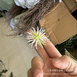 仿真植物塑料水草配件 4CM小海胆小刺球 仿真花蒲公英小花球批发