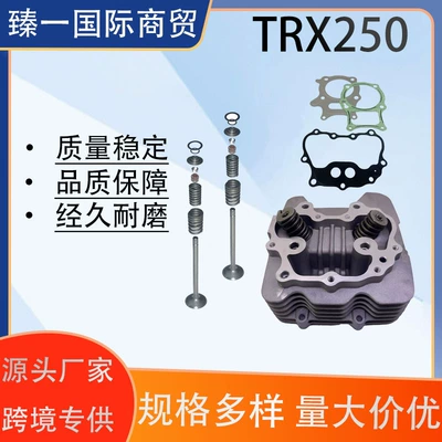Honda – TRX250 Cylinder Head Assembly Cylinder and parts