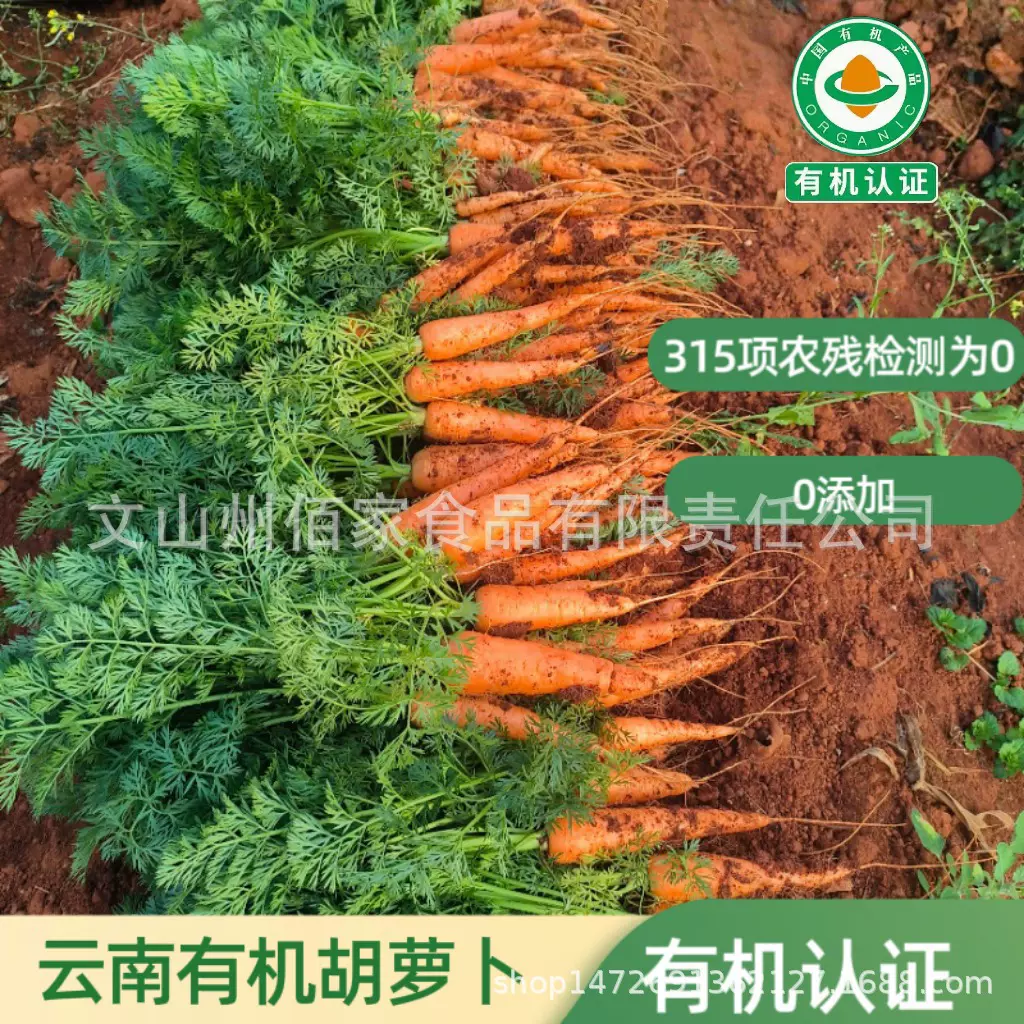 云南有机胡萝卜佰家珍品高原种植有机胡萝卜2500g