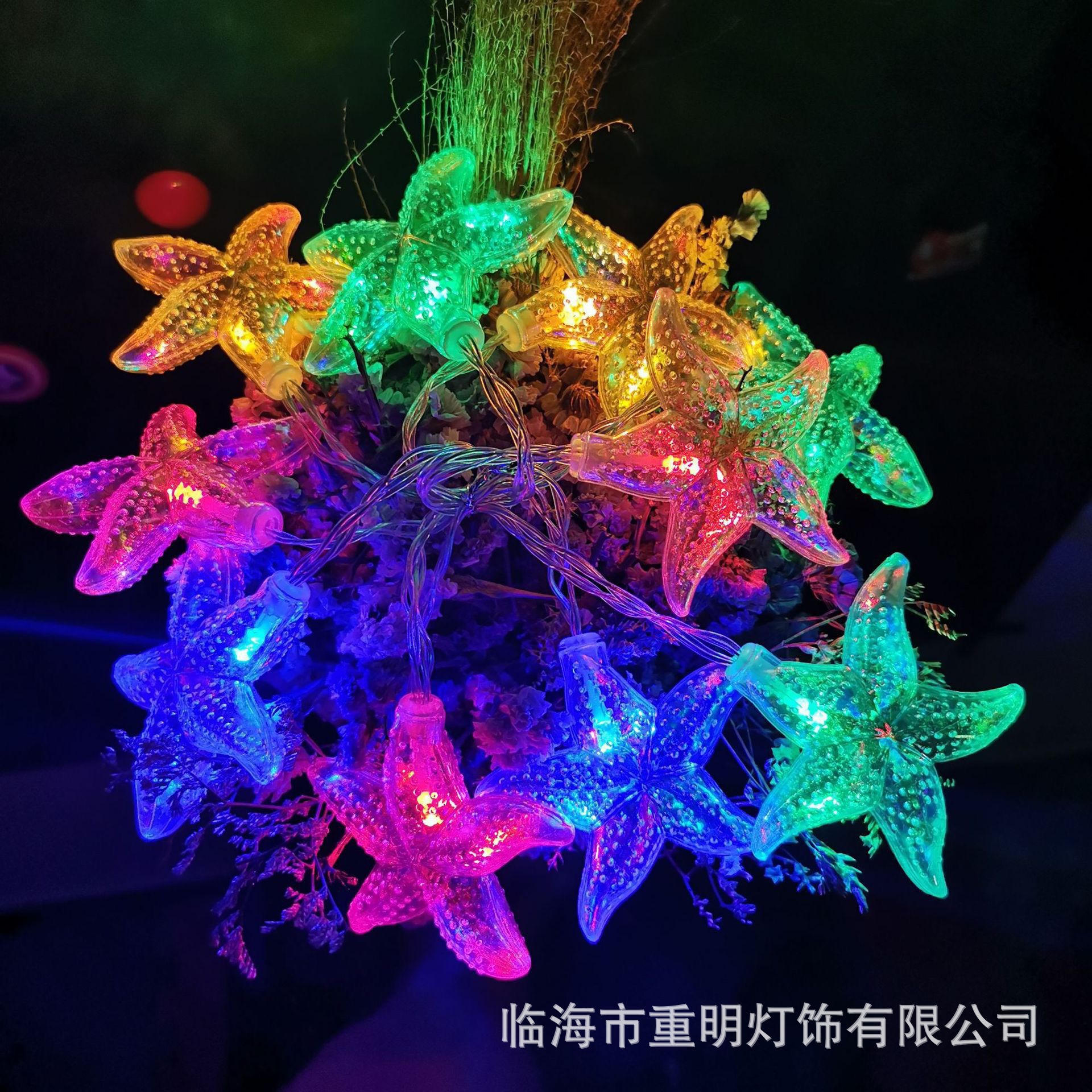 Estrella de mar 【Color】