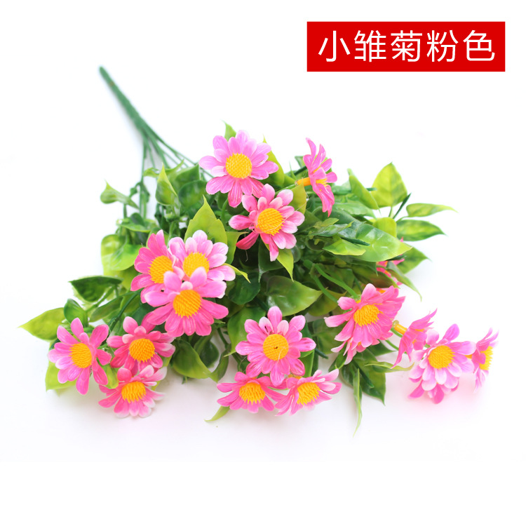 Rosa flor de la margarita