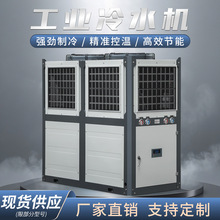 瑞速20匹工业风冷式冷水机节能省电橡胶硫化3D打印水族馆循环冷却