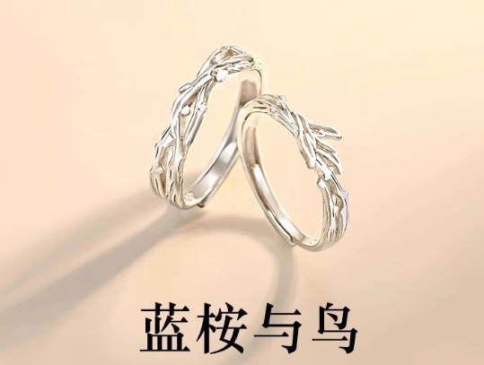 Bronce chapado al vacío no decolor Mobius anillo de nicho femenino diseño de pareja anillo de lujo ligero fábrica especial image 47