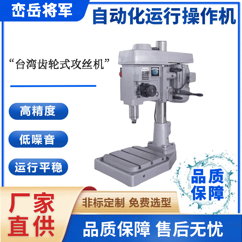按需定制台式伺服多轴攻牙机直立式齿轮式全自动数控攻丝机厂家