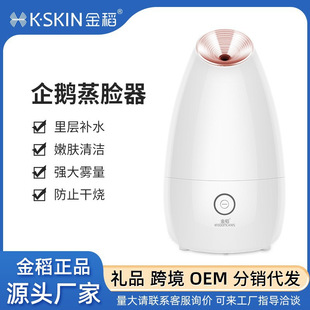 Golden Rice Face Steamer Thermal Spray and Water Replenishment Beauty Instrument Household Nano Ion Large Spray Steam Machine