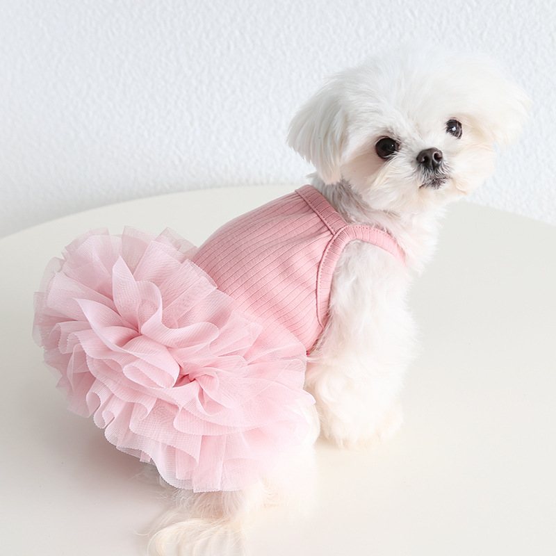Petstyle elegante ballet tutu saia 2026 primavera e verão novas roupas para cães e gatos roupas para animais de estimação