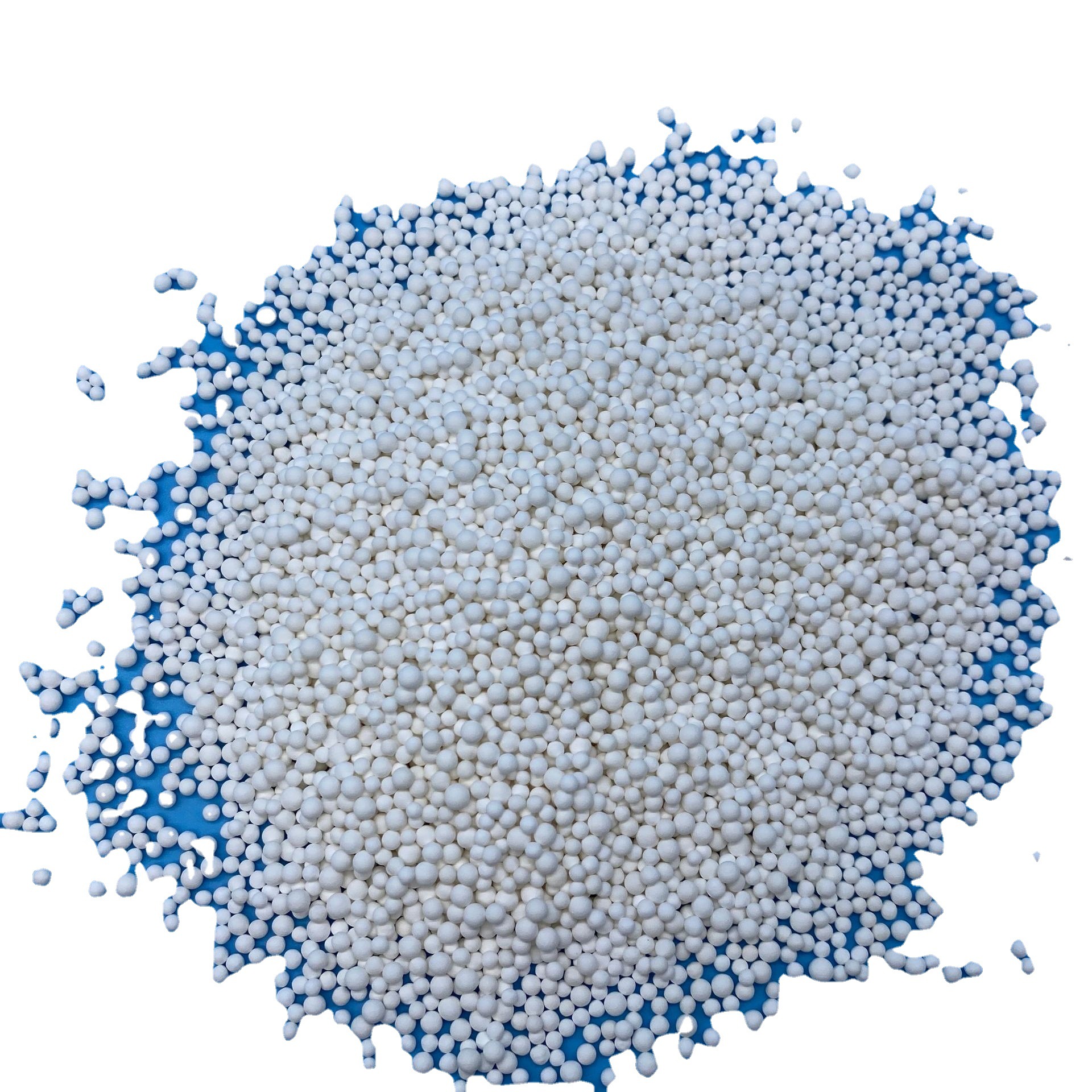 ��������������������� ������������������� ���ʳ�����������