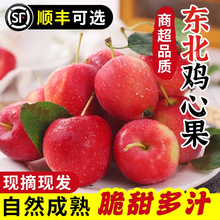 顺丰正宗东北鸡心果5小苹果海棠果特产沙果水果锦绣新鲜整箱包邮