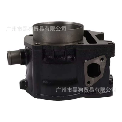 Cylinder and parts for Vespa300 Gts Gtv