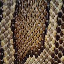 ��Ƥ ��������Ƥ ����Ƥ ������Ƥ Խ��/������Ƥ ��������̫��