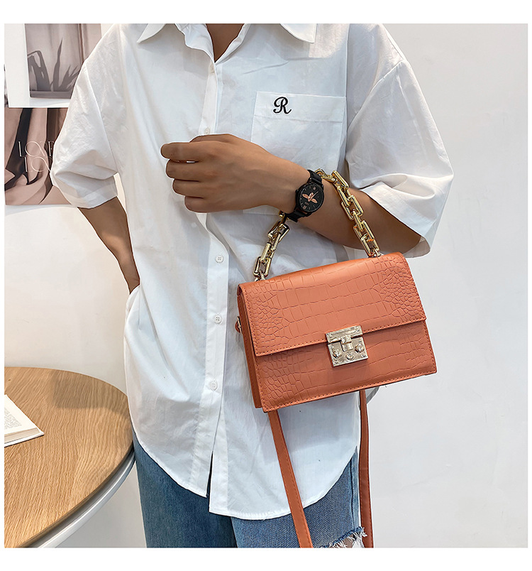 Fashion Fashionable Small Square Bag 2021 Spring And Summer New Chain Women's Bag Shoulder Crossbody Small Handbags One Piece Dropshipping display picture 15