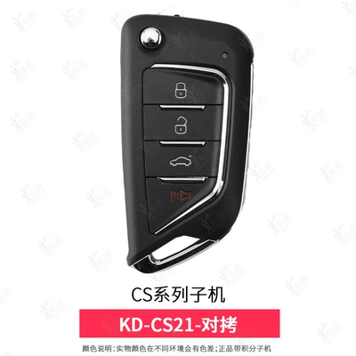 series-electronic-car remote – Avtomobil qapı kilidi silindrləri - cs21-full-frequency-copy-remote-control