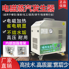 小型電加熱蒸汽發生器商用380v三相電鍋爐燒水工業蒸汽機煮豆漿