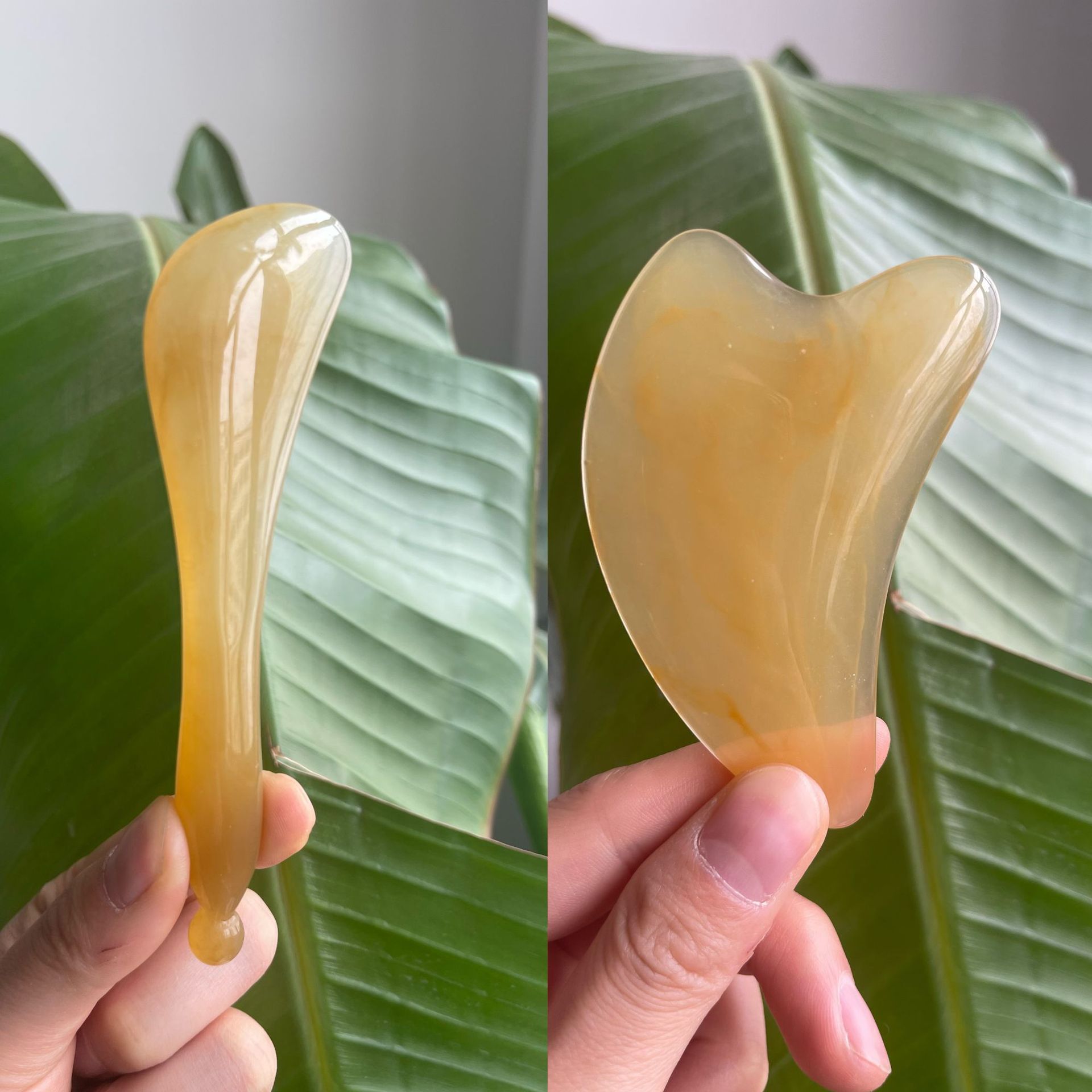 Сухожильный стержень из смолы коровы + скребок из смолы коровы