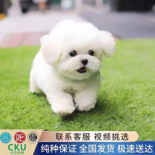 ���N������ȮС�w������w���nϵ���ܲ豭ȮС��Ȯ���B���w���ﹷ