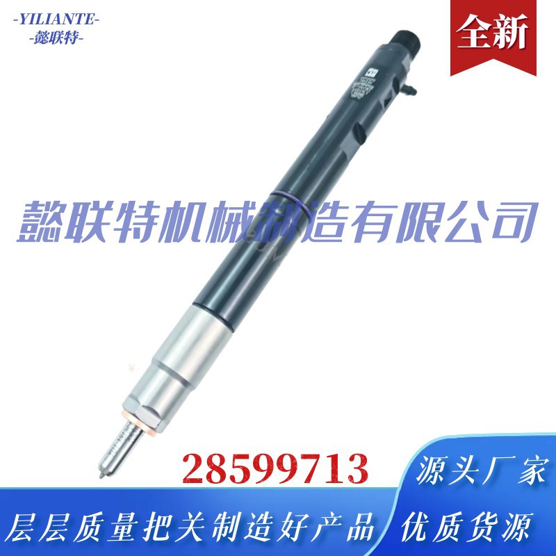 Diesel Common Rail Injector 1100100-Ed95 28599713 for Fr Great Wall Ed01