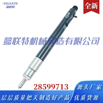 Diesel Common Rail Injector 1100100-Ed95 28599713 for Fr Great Wall Ed01