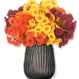 ����������ٻ� 7�^�ȼ�����ţ��ͥԺ�b��滨 ����~ֲ��