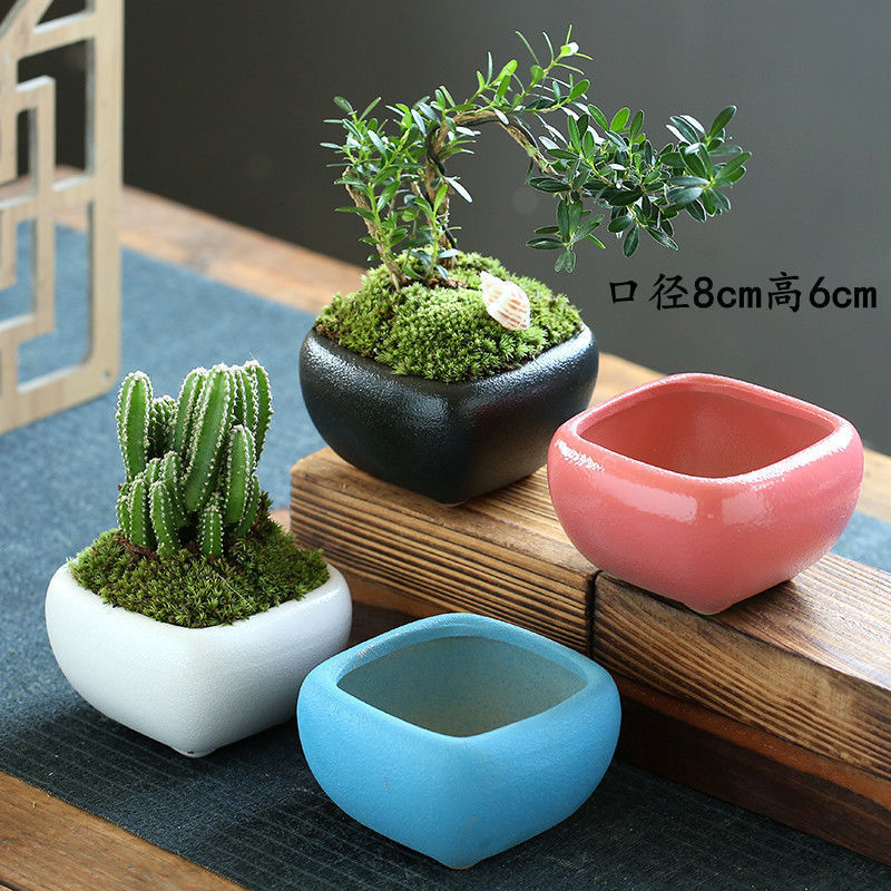 6 macetas de cerámica carnosas personalidad simple fresca pequeña maceta de color cuadrada balcón carnosas una pieza