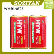 9伏电池 6F22干电池方形方块 9V电池 6f22麦克风话筒 万用表电池