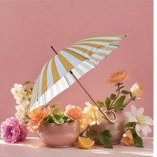 �����ɂ��ٸɂ�Ӵ�ӹ̼����p�˲��w���L��Ů�L��ֱ����㔵�aӡ