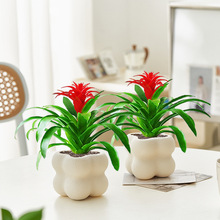 ���\���^�҃ȾGֲ�����՚�͏d�̨�����k��������ֲ�ﻨ�ļ�����