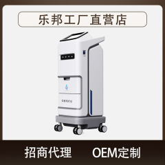 Lebang 4 チャンネル中周波理学療法電気治療器伝統的な中国医学指向透過装置全国代理店経絡