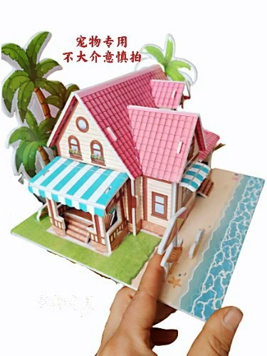 Домашние животные Бумажный дом Кошки, собаки, кошки и собаки жертвуют смертью