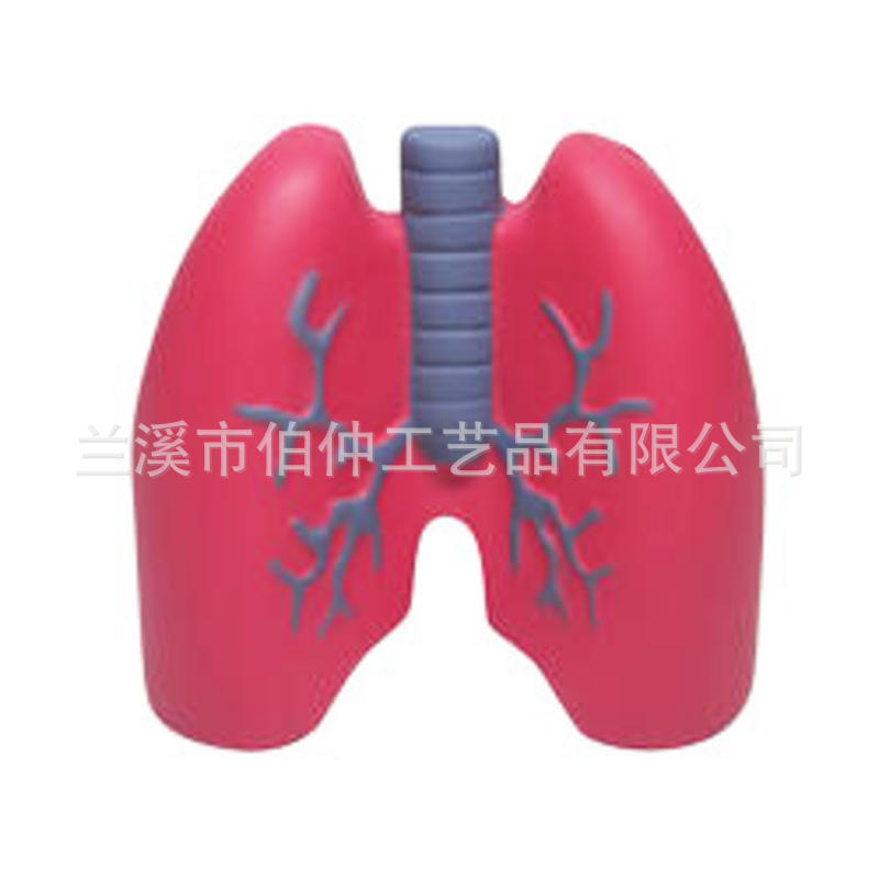 lungs-stress-balls_7255
