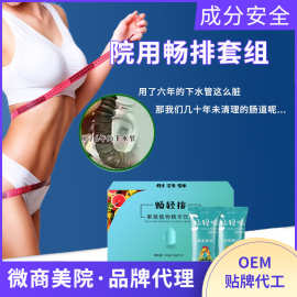 藤黄果酵素饮品 综合果蔬肠排酵素粉工厂孝素粉固体饮料OEM代加工