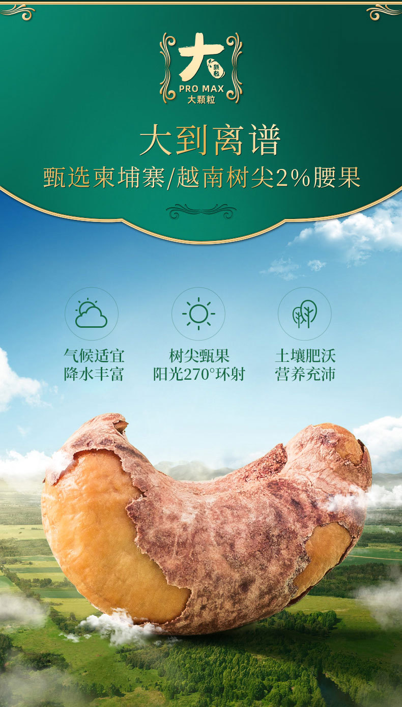 大颗粒紫衣腰果500g-详情页-8-24-产地为越南柬埔寨_