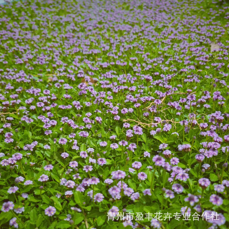 微信图片_20250430162222_1