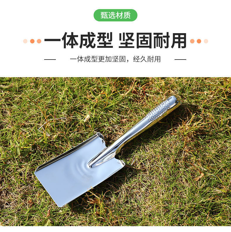 d18572ee-aebb-46b4-b43a-dd7595b5ee09.jpe