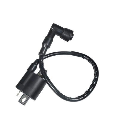 Universal motorcycle High Voltage package ignition coil igniter accessories CG 125 150 200 tricycle High Voltage package (Power supply, ignition system accessories) - cg-universal-high-voltage-package