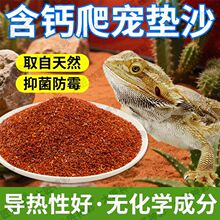 ���xɳ����،m������ɳ�ת{ϐ��ɳĮ��B�쾰ɰϐ���ߟo���|��G