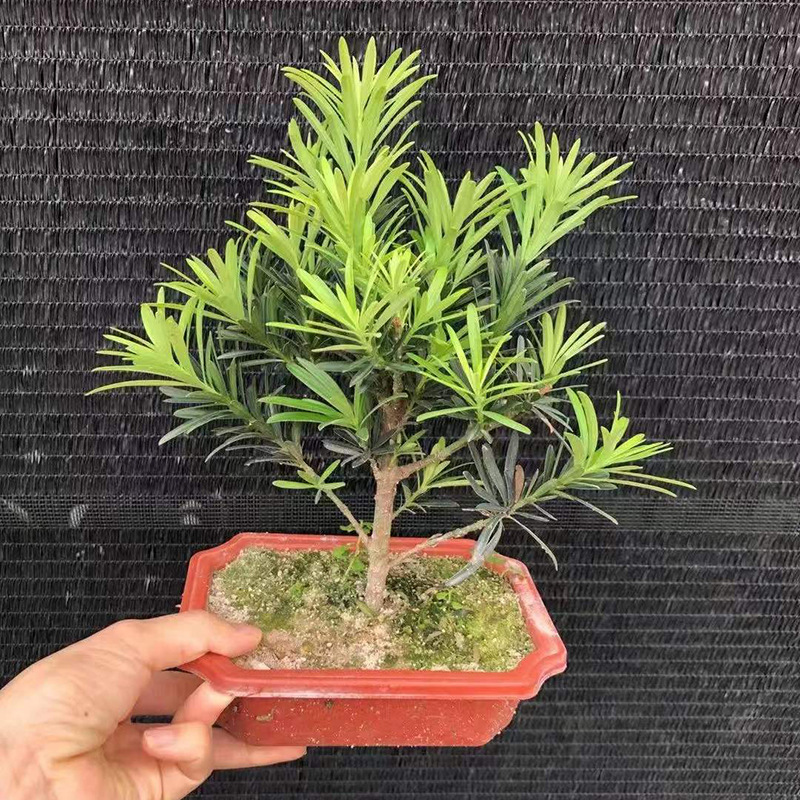 微信图片_20220322114510