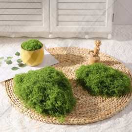 仿真丝状苔藓草坪白发藓仿真羊毛藓假青苔景观苔藓丝盆景盆栽定制