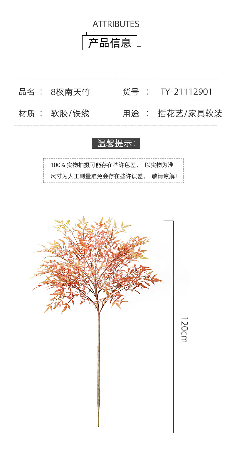 详情_03.jpg