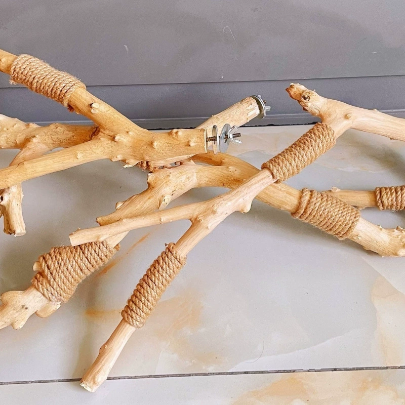 Бревенчатая станция, клюшка, попугай, скворечник, клетка