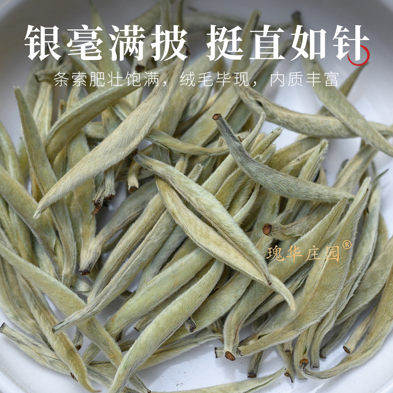 雲南ペコー銀針特別ルースティー卸売 2025 新茶京谷大白茶月光白茶バルク 500 グラム|undefined