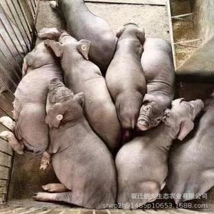 ���N̫��ĸ�i�߮a÷ɽĸ�iһ��̫��ĸ�i����Ęĸ�i�K̫ĸ�i